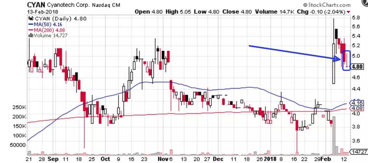 Doji in Forex